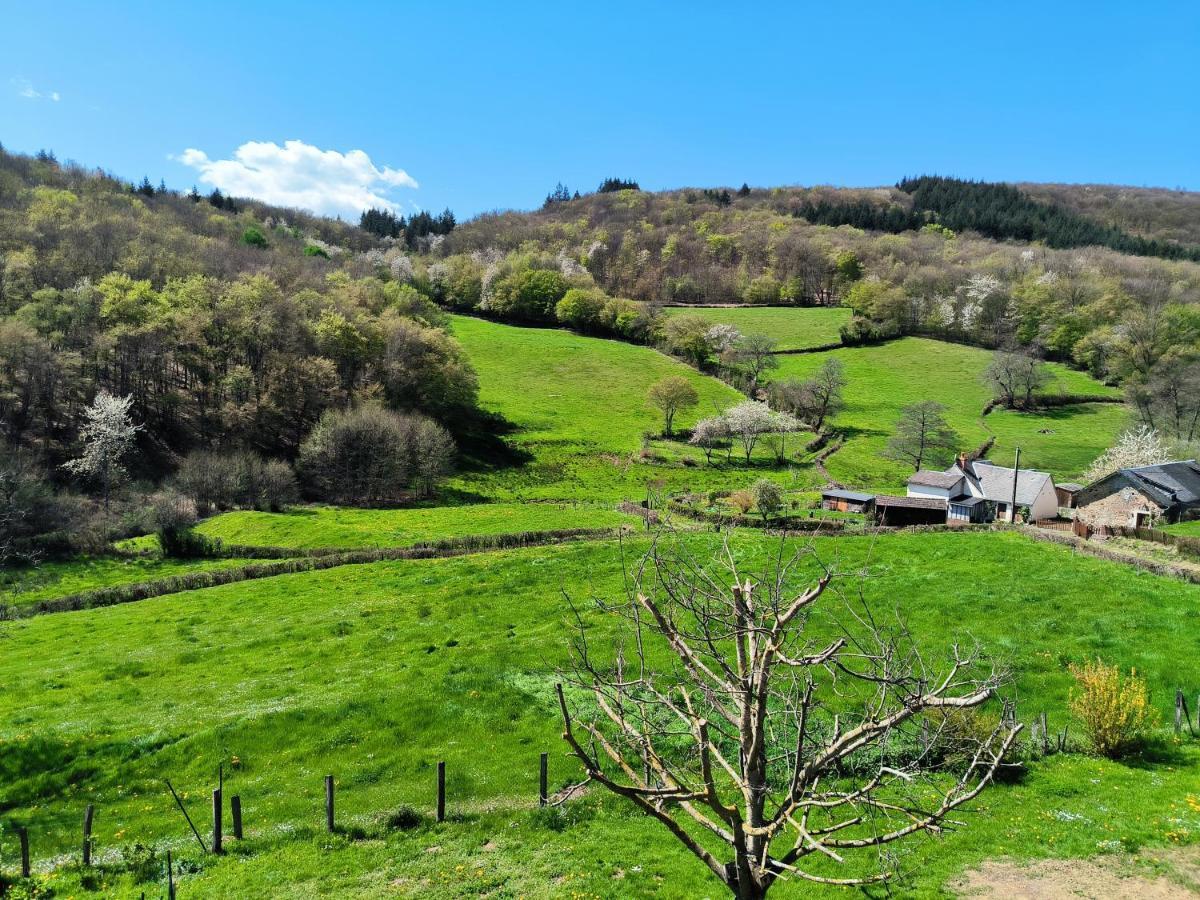 Chambres D'Hotes Montjouan Larochemillay Exteriér fotografie