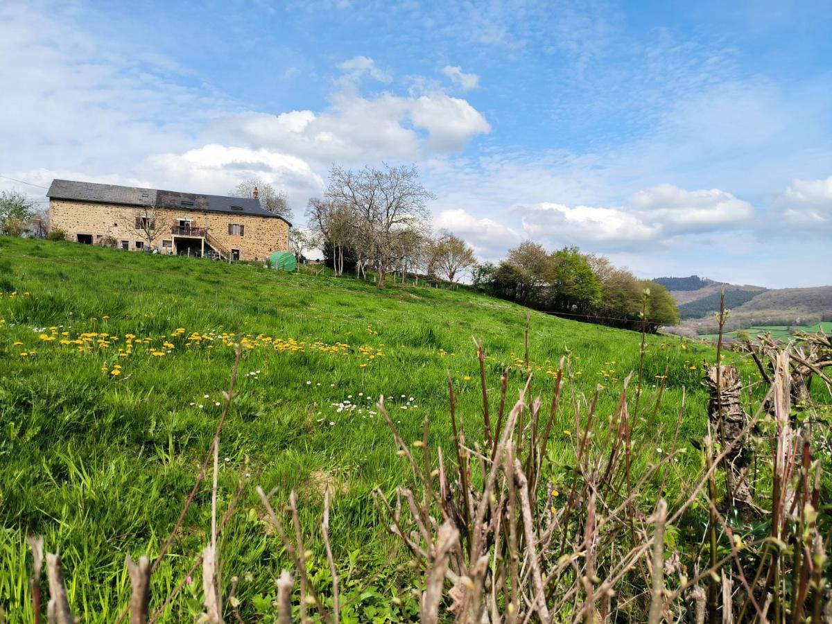 Chambres D'Hotes Montjouan Larochemillay Exteriér fotografie